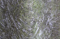 Blair Atholl fibreglass roof work